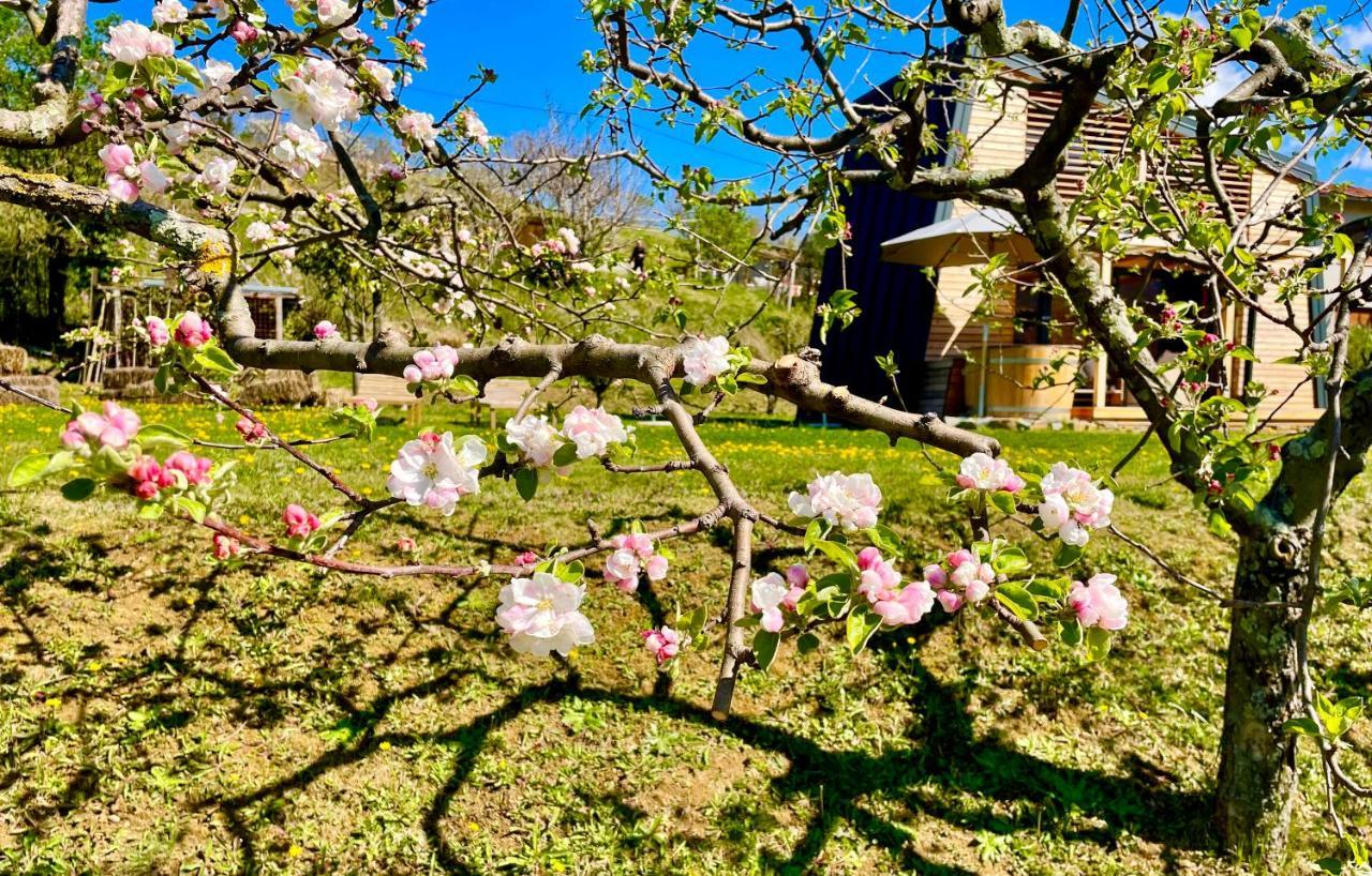 MAXI SONCE, Odprte vasi Villa Prvacina Buitenkant foto