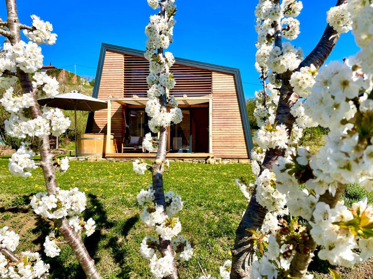 MAXI SONCE, Odprte vasi Villa Prvacina Buitenkant foto